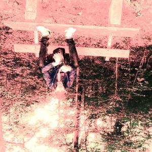 LETZTES WORT (Explicit)