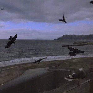 吕子乔吕布 (最火BGM)