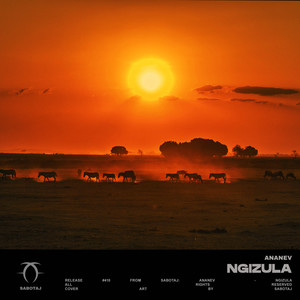 Ngizula