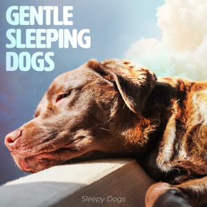 Gentle Sleeping Dogs