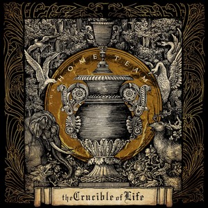 The Crucible Of Life (Explicit)