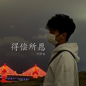 得偿所愿