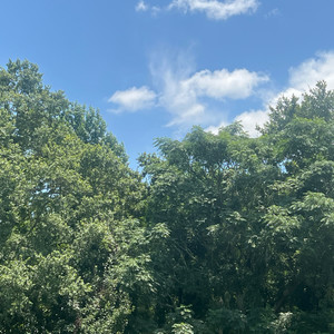 Rainbows and Sunshie