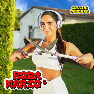 Roba Mario (Explicit)