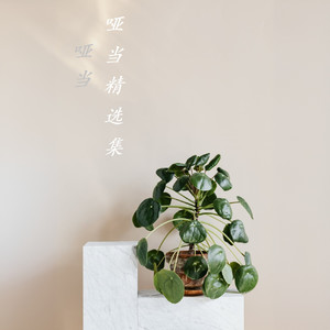 红尘深处再相逢