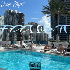 FEEL LIKE IT (feat. Nova Fettuccine) (Explicit)