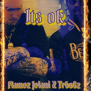 Its Ok (feat. Flamez Jelani) [Explicit]