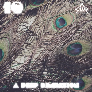 Shut The F**k Up And DJ (Sam Sky Deep Mix)