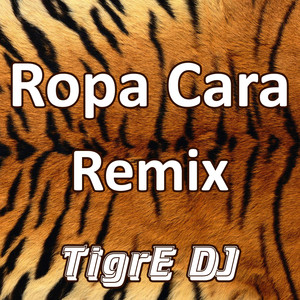 Ropa Cara (Remix)