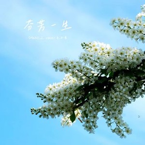 芬芳一生封面