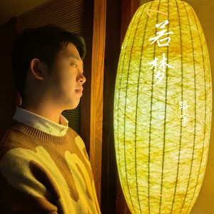 若梦 )