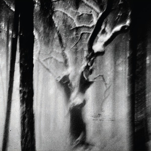 Paysage n°5(première partie)