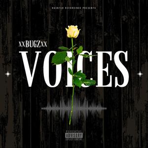 Voices (Explicit)