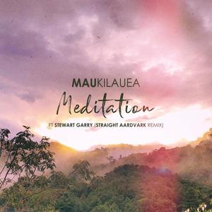 Meditation (feat. Stewart Garry) [Straight Aardvark Remix]