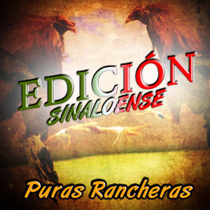 Sin Fortuna (Edición Sinaloense)
