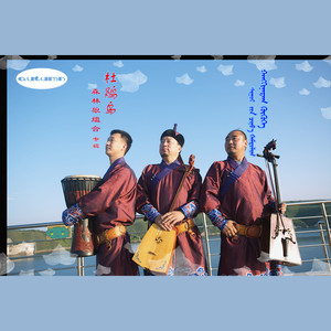 杜鹃鸟 (森林狼组合）