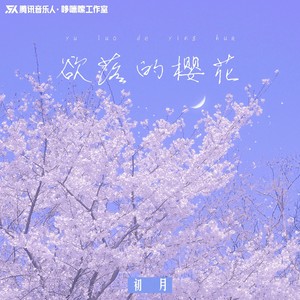 欲落的樱花