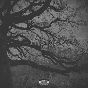 Noir (Explicit)