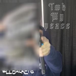 Took My Peace (Explicit)