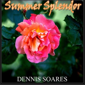 Summer Splendor