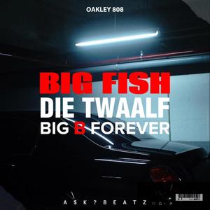 Big Fish (feat. Bigbforever) (Explicit)