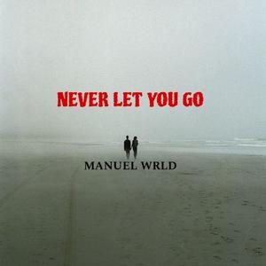 NEVER LET YOU GO (Explicit)