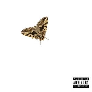 Sul serio (feat. MASTRO) (Explicit)