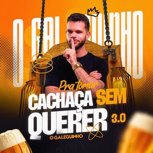 Pra Tomar Cachaça Sem Querer 3.0