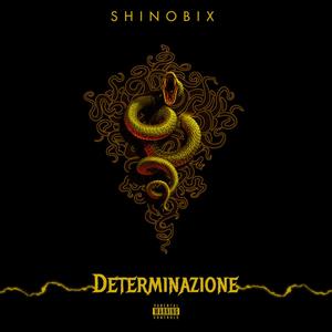 Determinazione (Explicit)