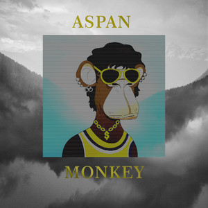 Aspan - Monkey