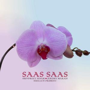 Satnaam Meditation(feat. Nicola Offidani)