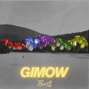 GIMOW (Explicit)