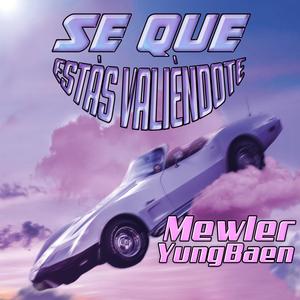 Se que estás valiéndote (feat. Mewler)