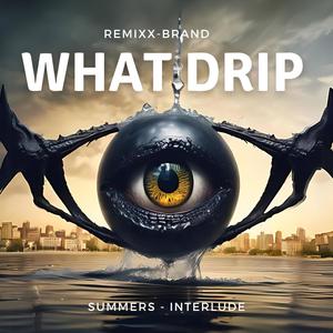 WHAT DRIP Summers Interlude (feat. ROMIZO) [Explicit]