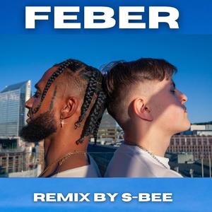 FEBER (Remix)