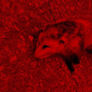 OD Season (Explicit)