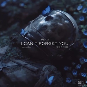 I Can't Forget You (NIGHT MESS Remix|Explicit)