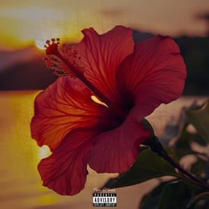 Good Evenin' Baby (Explicit)