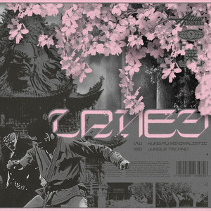 Kung Fu Minimalistic