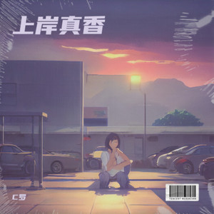 去往那个名字叫“上岸”的地方