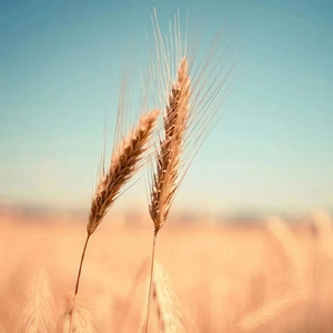 ひとりの時間（一个人的时间）