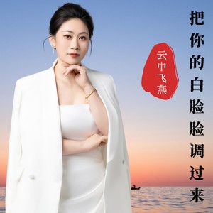 你把你的白脸脸调过来