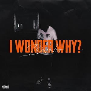 I Wonder Why? (Explicit)