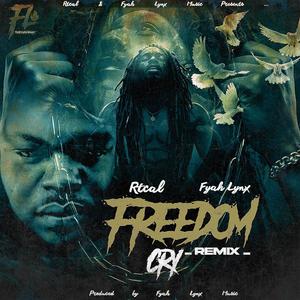 Freedom Cry (feat. Fyah Lynx) (remix version)
