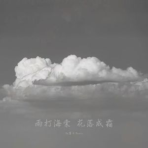 雨打海棠 花落成霜
