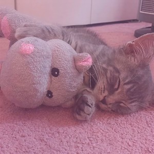 好像掉进了爱情海里