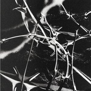 FELL IN LOVE IN OCTOBER