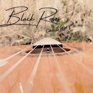 Black Roses (Early Composition)