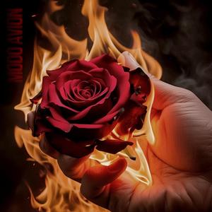 Modo Avión (Explicit)