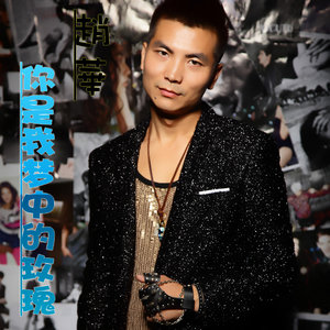 不想为你再流泪